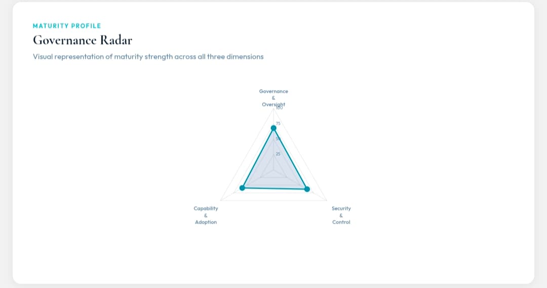Governance Radar — Maturity profile across three dimensions